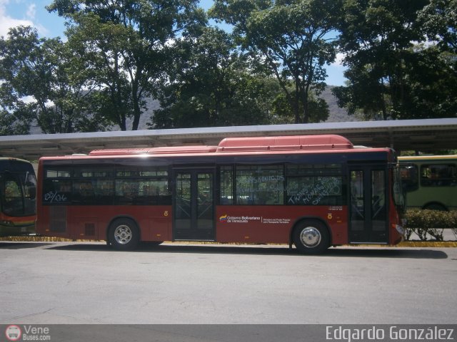 TransMonagas 15 por Edgardo Gonz�lez