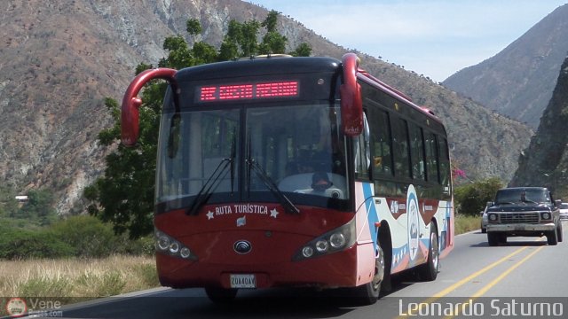 Uso Oficial 20 por Leonardo Saturno