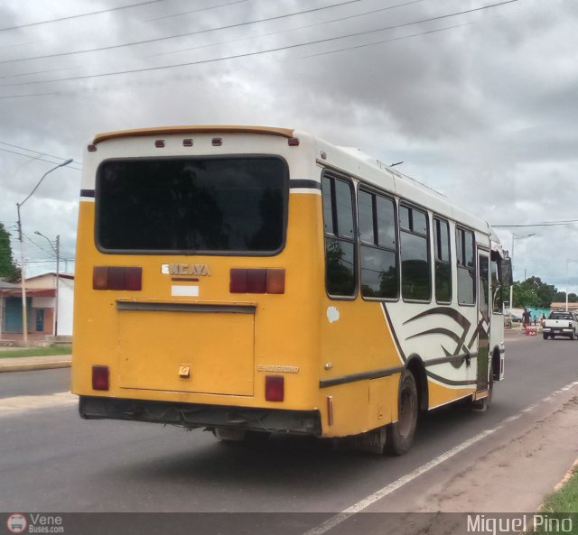 A.C.C. Caicara Amazonas 066 por Miguel Pino