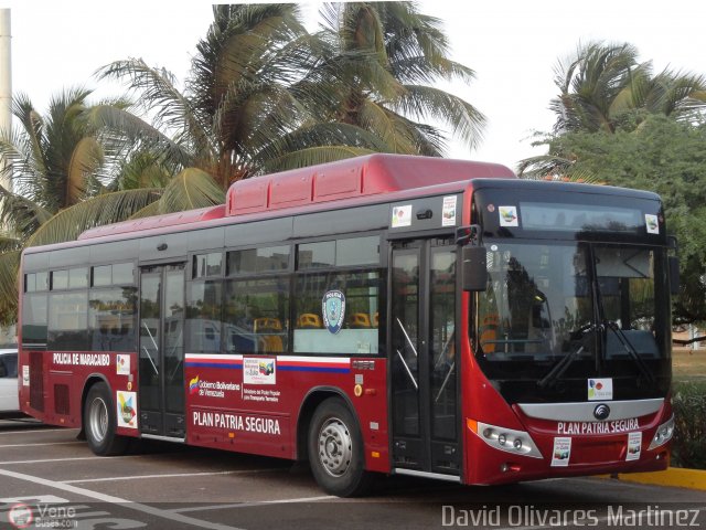 Uso Oficial PA-01 por David Olivares Martinez