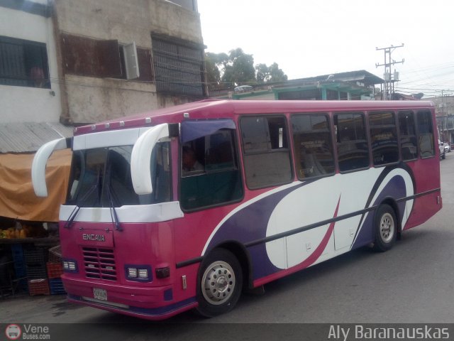 Particular o Desconocido 529 por Aly Baranauskas