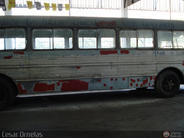 En Chiveras Abandonados Recuperaci�n 20 por Cesar Ornelas