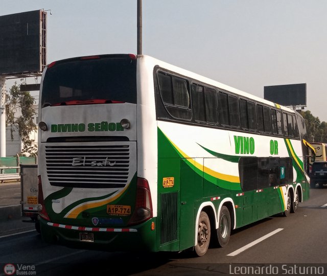 Grupo Divino Se�or S.A.C. 774 por Leonardo Saturno