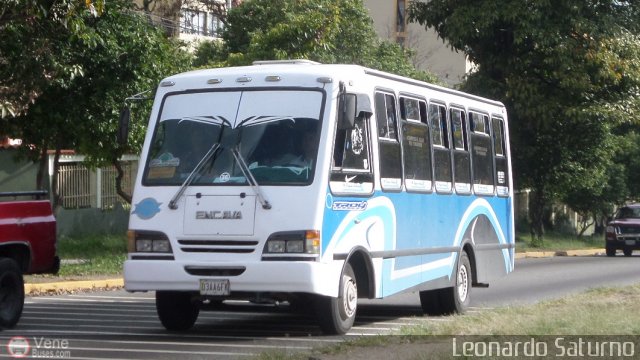 L�nea Cultura 36 por Leonardo Saturno