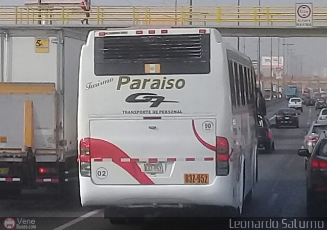 Particular o Desconocido 02 por Leonardo Saturno