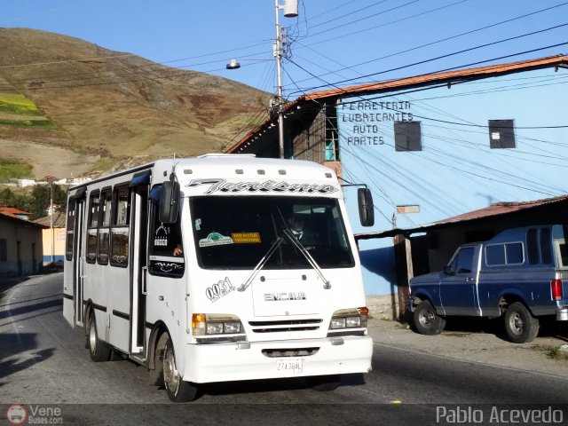 L�nea Cultura 31 por Pablo Acevedo