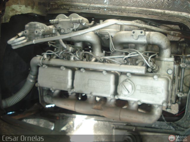 En Chiveras Abandonados Recuperaci�n 20 por Cesar Ornelas