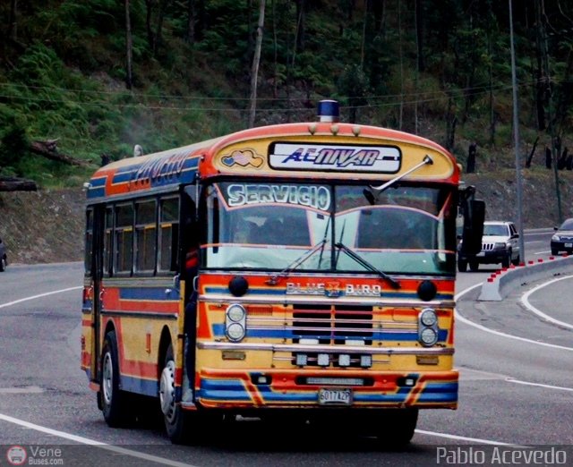 Asociaci�n Civil Nivar 29 por Pablo Acevedo