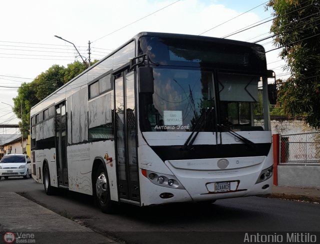 Uso Oficial 01 por Antonio Mittilo