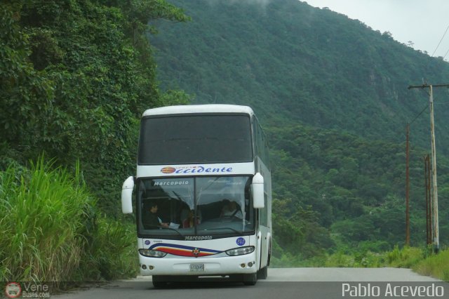 Expresos Occidente 242 por Pablo Acevedo