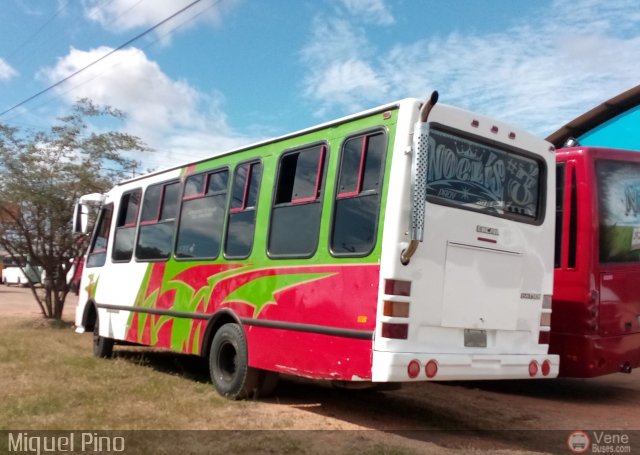 AN - A.C. de Conductores Divino Ni�o 212 por Miguel Pino