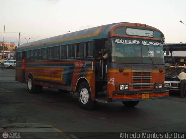 Colectivos Perij� 29 por Alfredo Montes de Oca