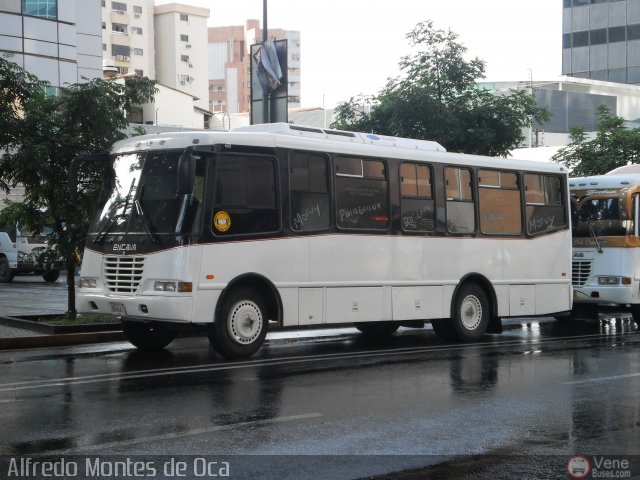 U.C. Falcn Zulia 00 por Alfredo Montes de Oca