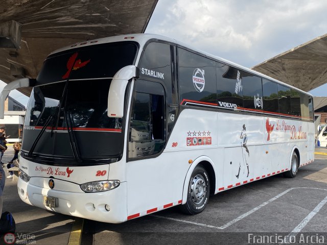 Los Pájaros de Lara 020 por Francisco Arcia