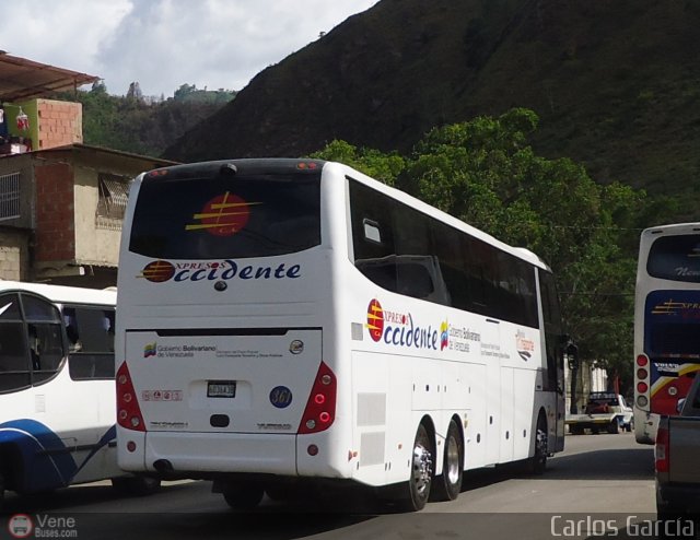 Expresos Occidente 361 por Waldir Mata