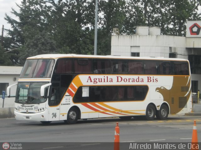 Aguila Dorada Bis 074 por Alfredo Montes de Oca