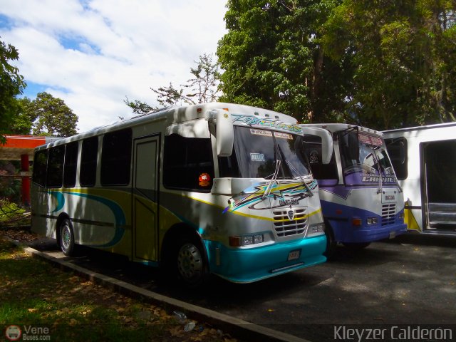 Lnea Los Andes S.C. 013 por Kleyzer Caldern