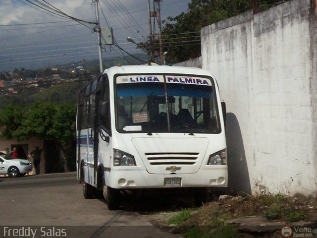 TA - A.C. Autos por puesto Lnea Palmira 050 por Alfredo Montes de Oca