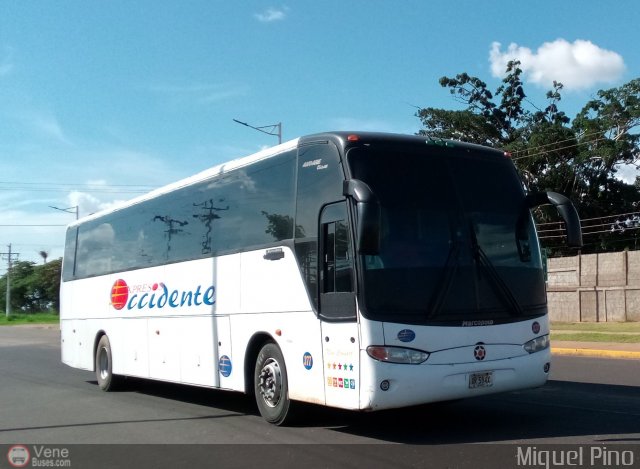 Expresos Occidente 377 por Miguel Pino