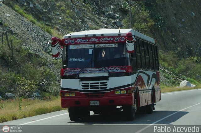 Lnea Los Andes S.C. 002 por Pablo Acevedo