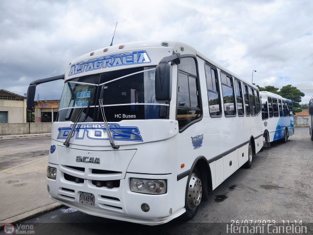 L�nea Altagracia 30 por Alvin Rond�n