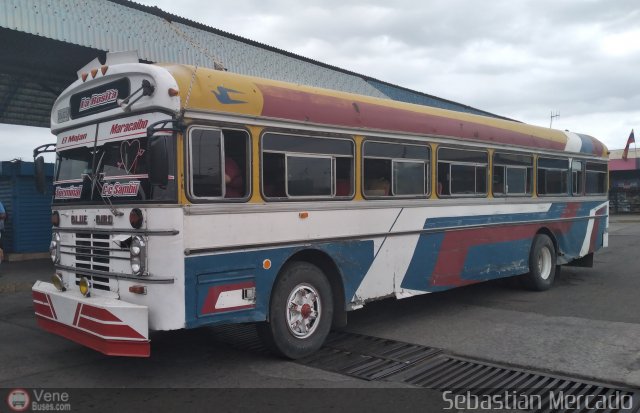 Colectivos La Rosita 021 por Sebasti�n Mercado