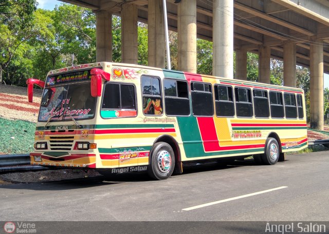 Cooperativa Canaima 24 por �ngel Sal�n