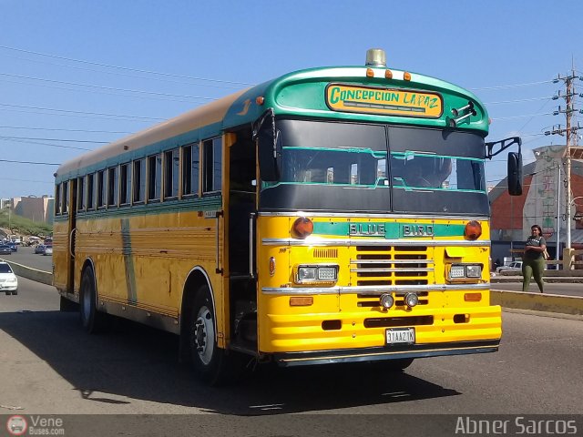 ZU - Colectivos Concepci�n 106 por Abner Sarcos