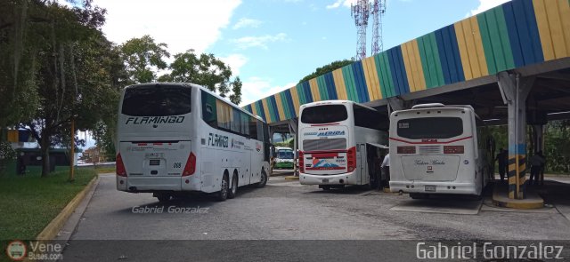 Garajes Paradas y Terminales Merida por Gabriel Gonz�lez