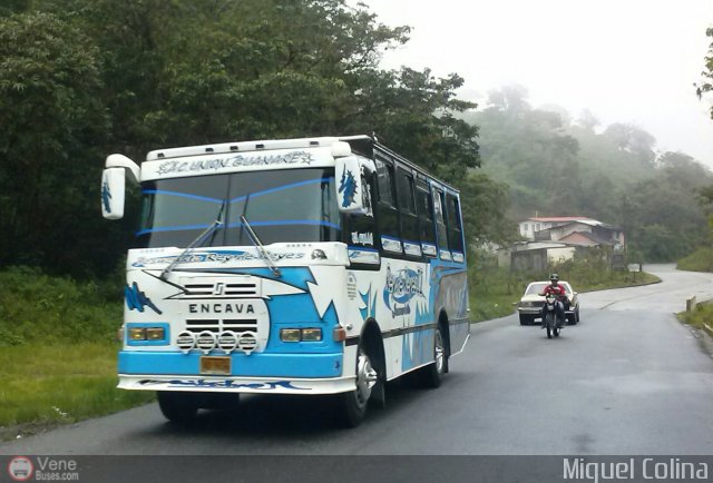 A.C. Uni�n Guanare 125 por Miguel Colina