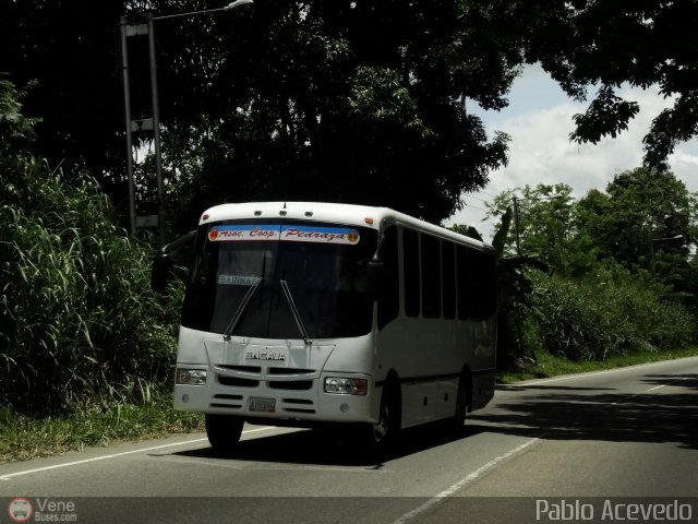 A.C. Pedraza 044 por Pablo Acevedo