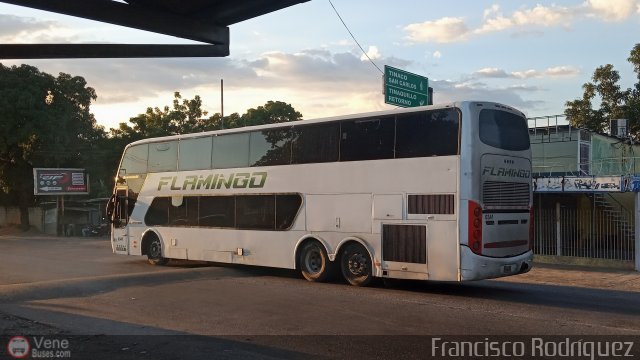 Expresos Flamingo 0341 por Francisco Rodr�guez