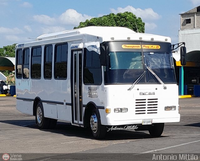 A.C. Transporte Paez 025 por Antonio Mittilo