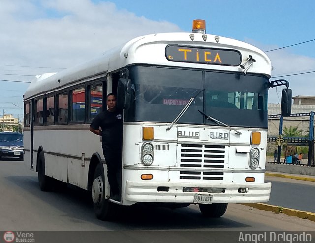 Transporte Interestadal Tica 04 por �ngel Delgado