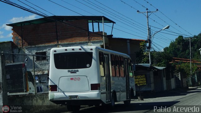 Particular o Desconocido 02 por Pablo Acevedo