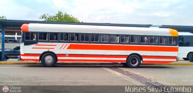 L�nea Sanare 12 por Mois�s Silva Colombo