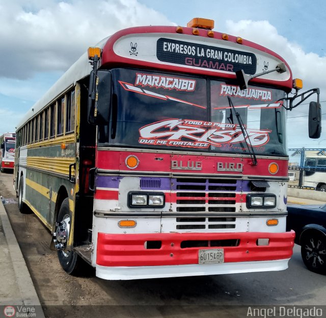 Expresos La Gran Colombia 37 por �ngel Delgado
