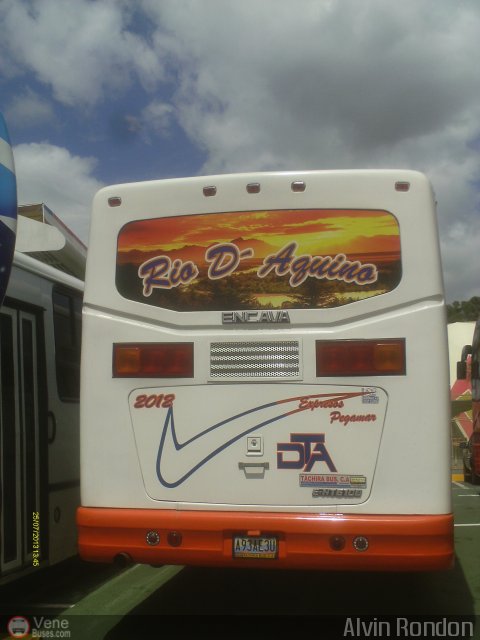 Expresos Pegamar 2012 por Alvin Rondn