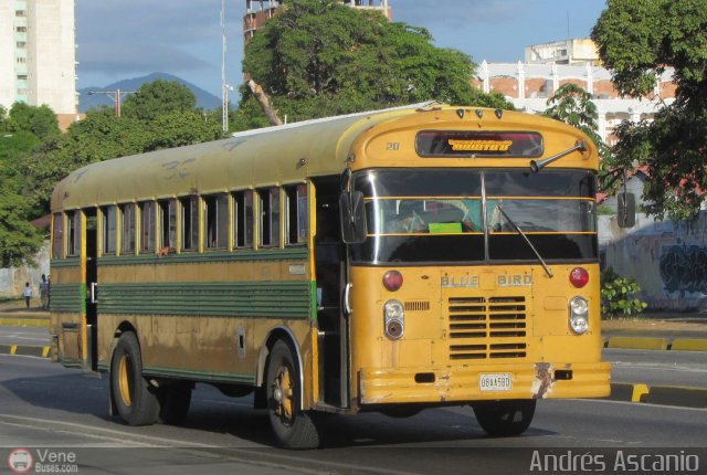 Transporte Palo Negro La Morita 2 020 por Andr�s Ascanio