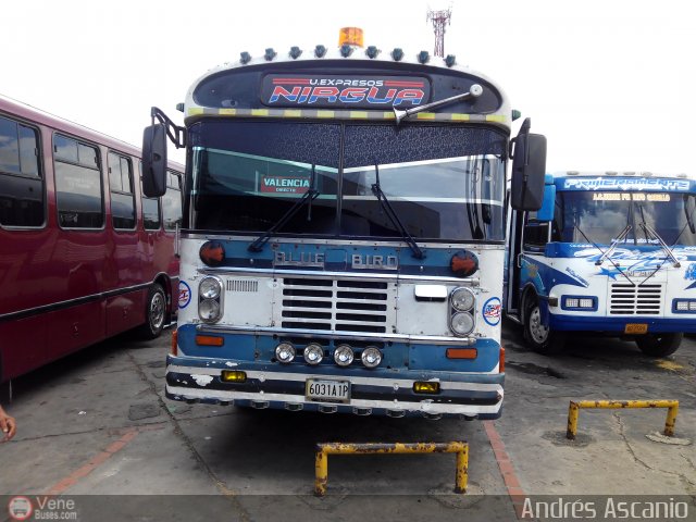 Expresos Nirgua 0060 por Andrs Ascanio