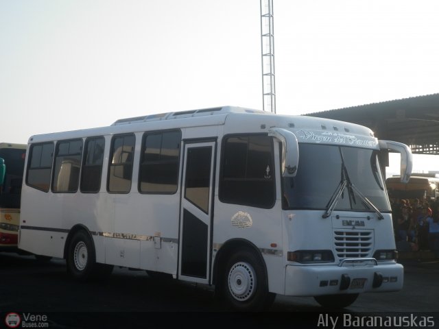 Transporte Virgen del Carmen 37 por Aly Baranauskas