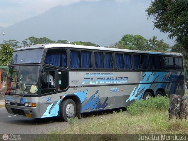Expresos Flamingo 74 por Joseba Mendoza