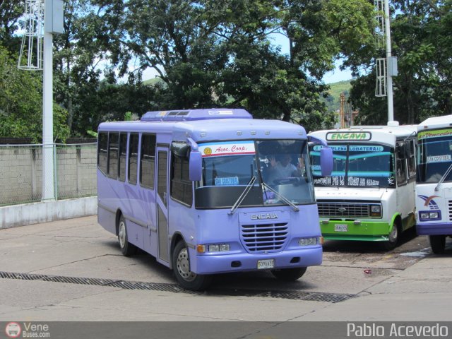 A.C. Pedraza 034 por Pablo Acevedo