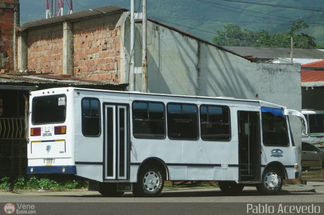 Particular o Desconocido 38 por Pablo Acevedo