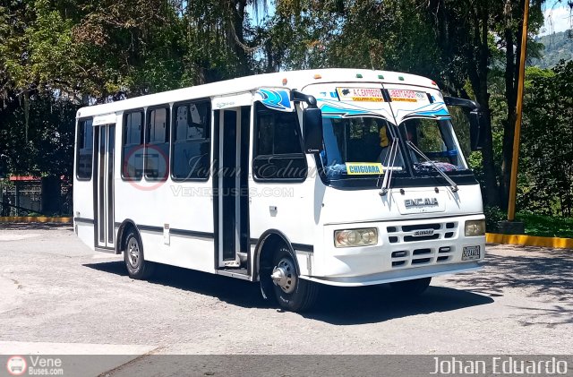 Expresos Libertador 03 por Johan Albornoz