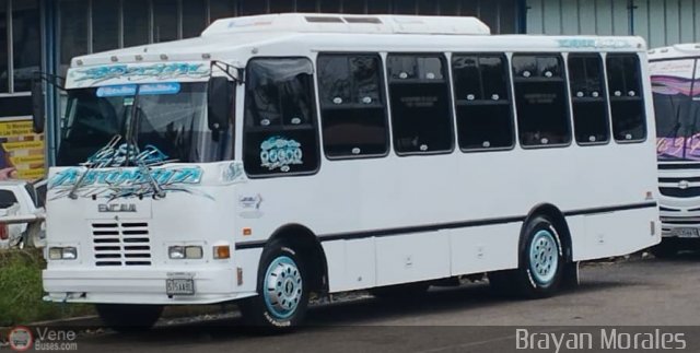 Uni�n L�nea Alberto Adriani C.A. 42 por Jerson Nova