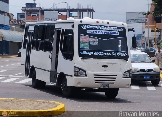 TA - A.C. Autos por puesto L�nea Palmira 050 por Jerson Nova