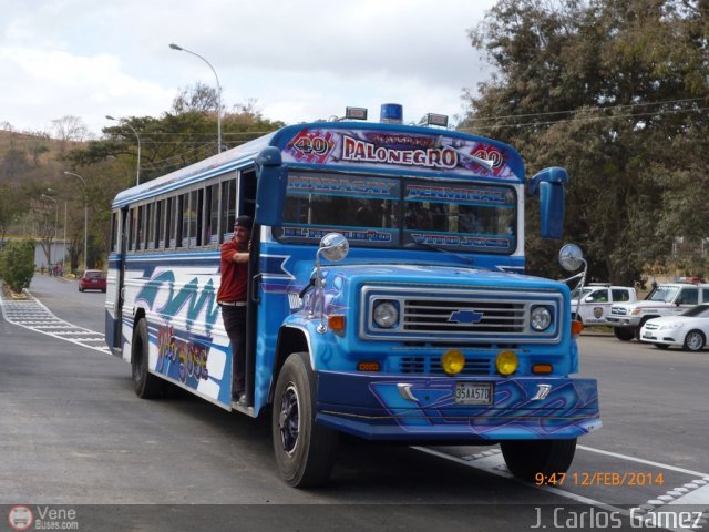 Transporte Colectivo Palo Negro 040 por Alvin Rond�n
