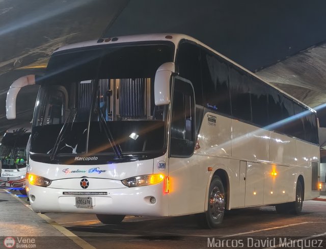 Ejecutivos Boga 28 por Marcos David M�rquez