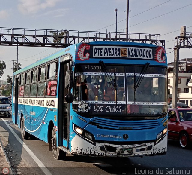 E.T. Pegasso Express S.A. 099 por Leonardo Saturno